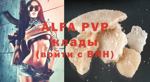 бошки Дмитриев