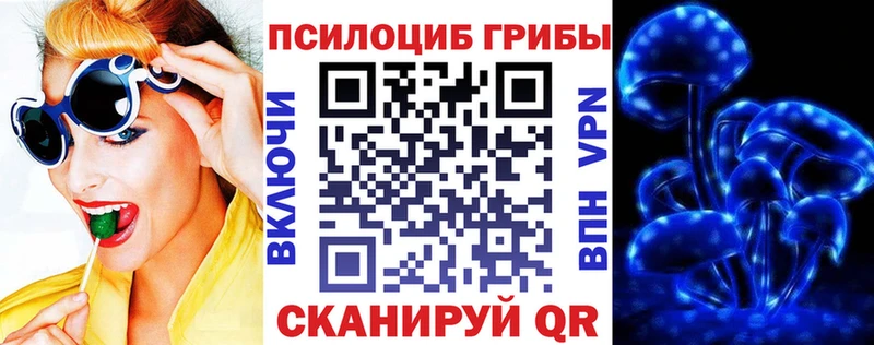 магазин  наркотиков  Сосновоборск  Галлюциногенные грибы Magic Shrooms 